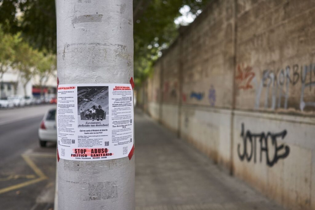 Imagen de galería 765