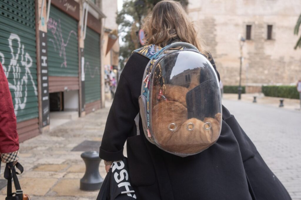 Imagen de galería 1625