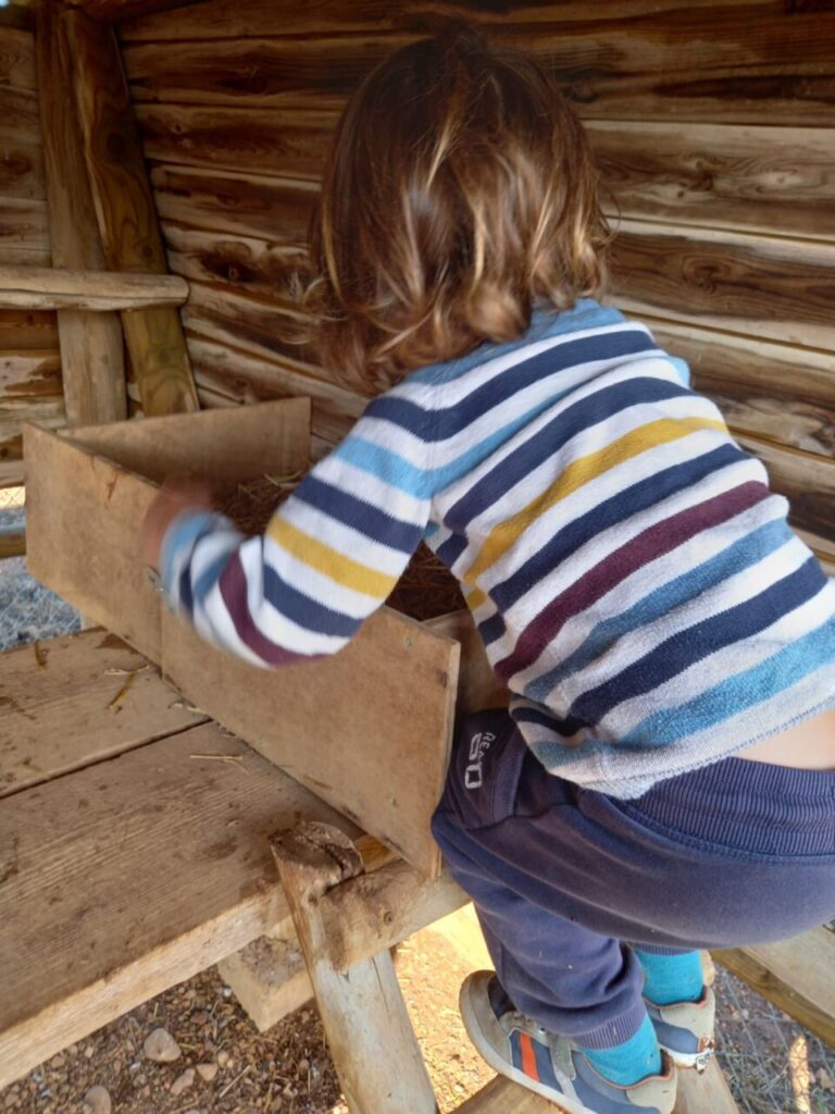 Imagen de galería 1389