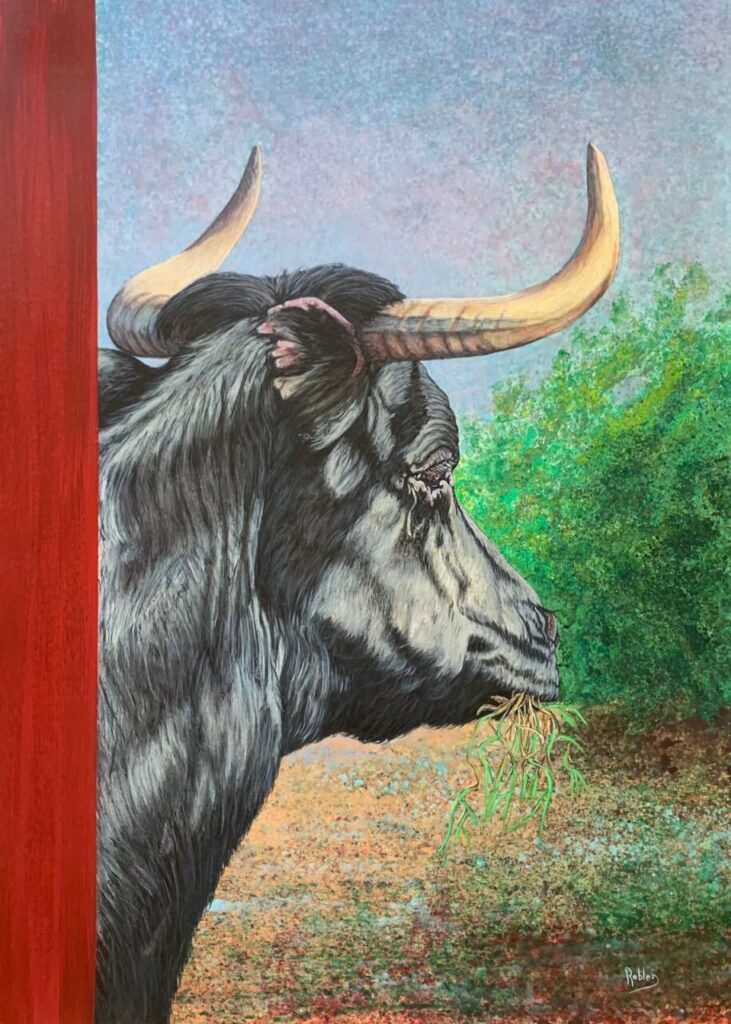 Imagen de galería 1588