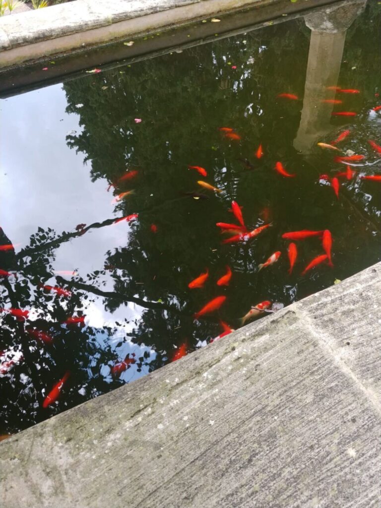 Imagen de galer&iacute;a 1296