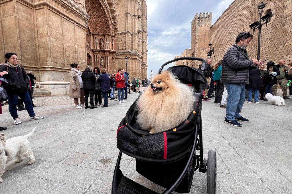 Imagen de galería 1625