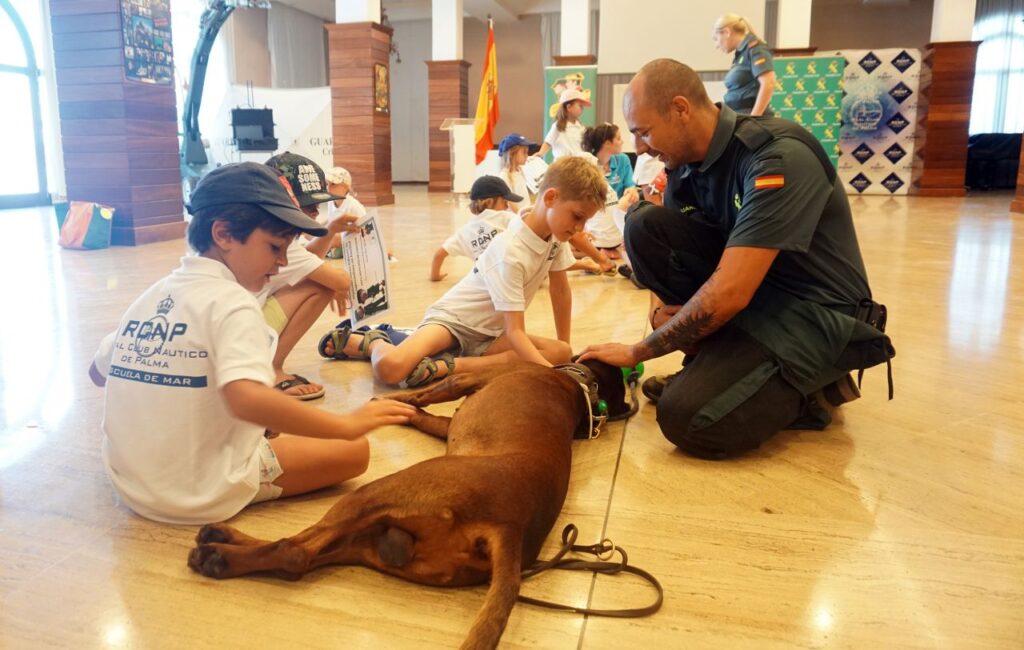 Imagen de galer&iacute;a 572