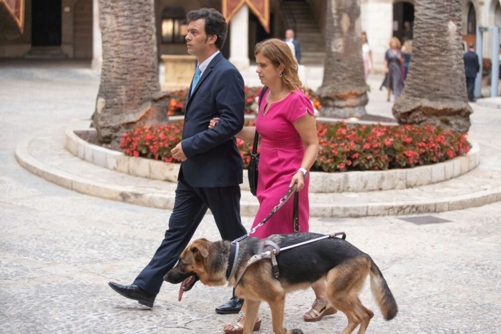 Imagen de galer&iacute;a 584