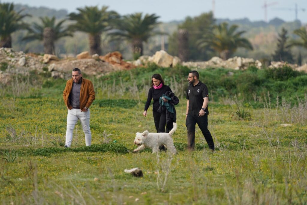 Imagen de galer&iacute;a 1310