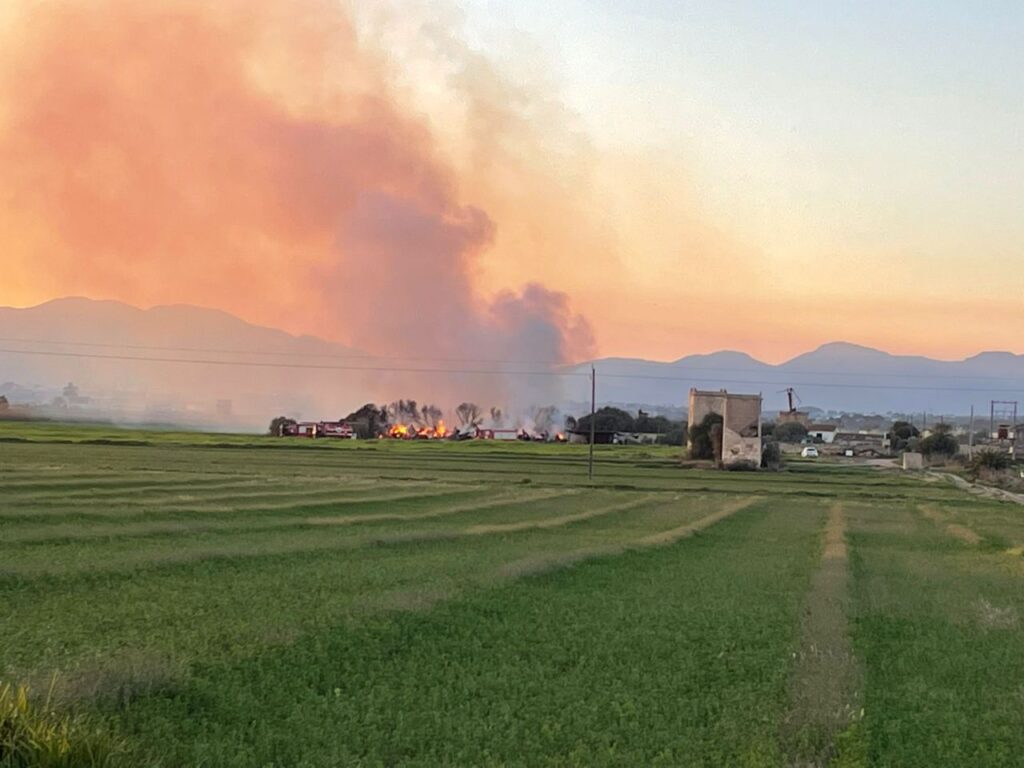 Imagen de galería 1323