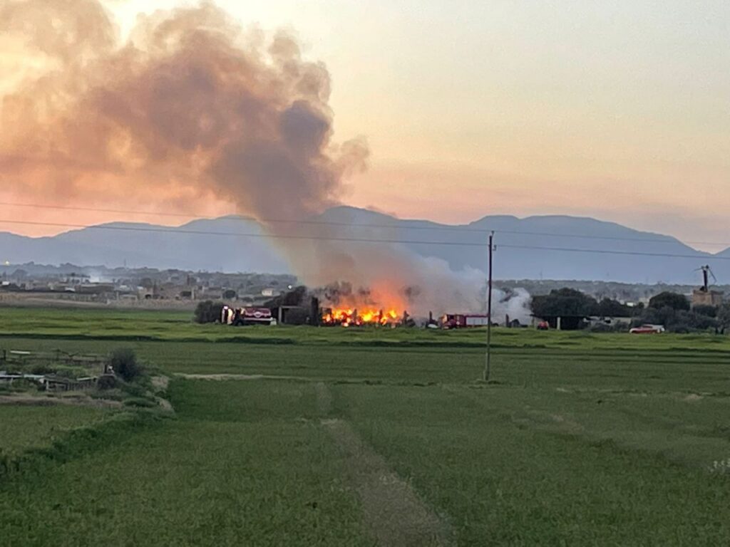 Imagen de galería 1323