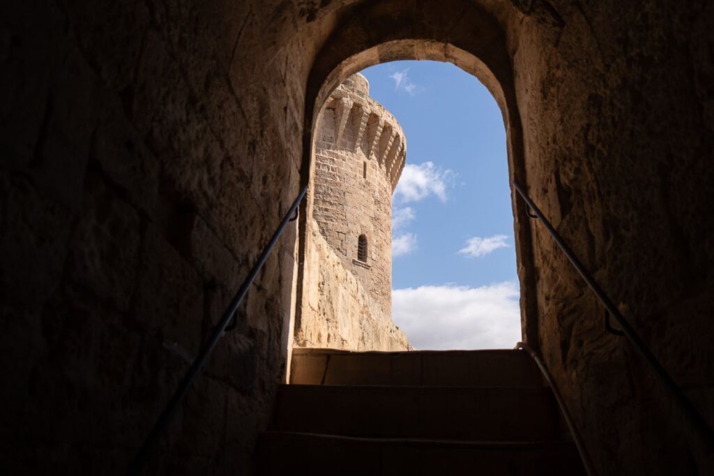 Imagen de galería 1756