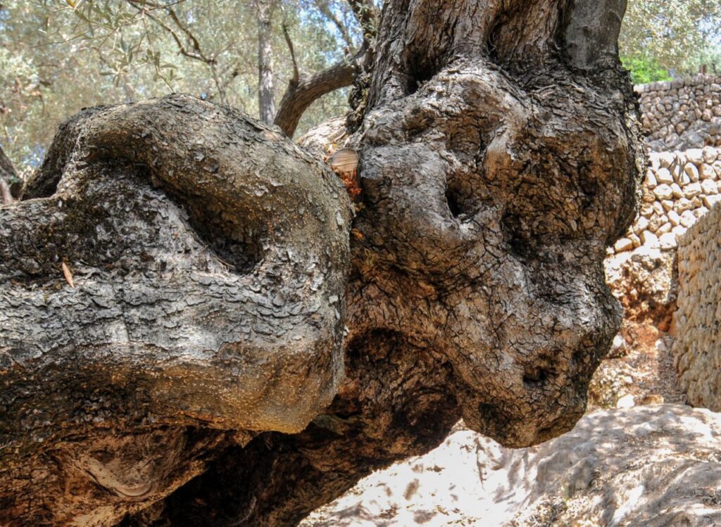 Imagen de galería 864