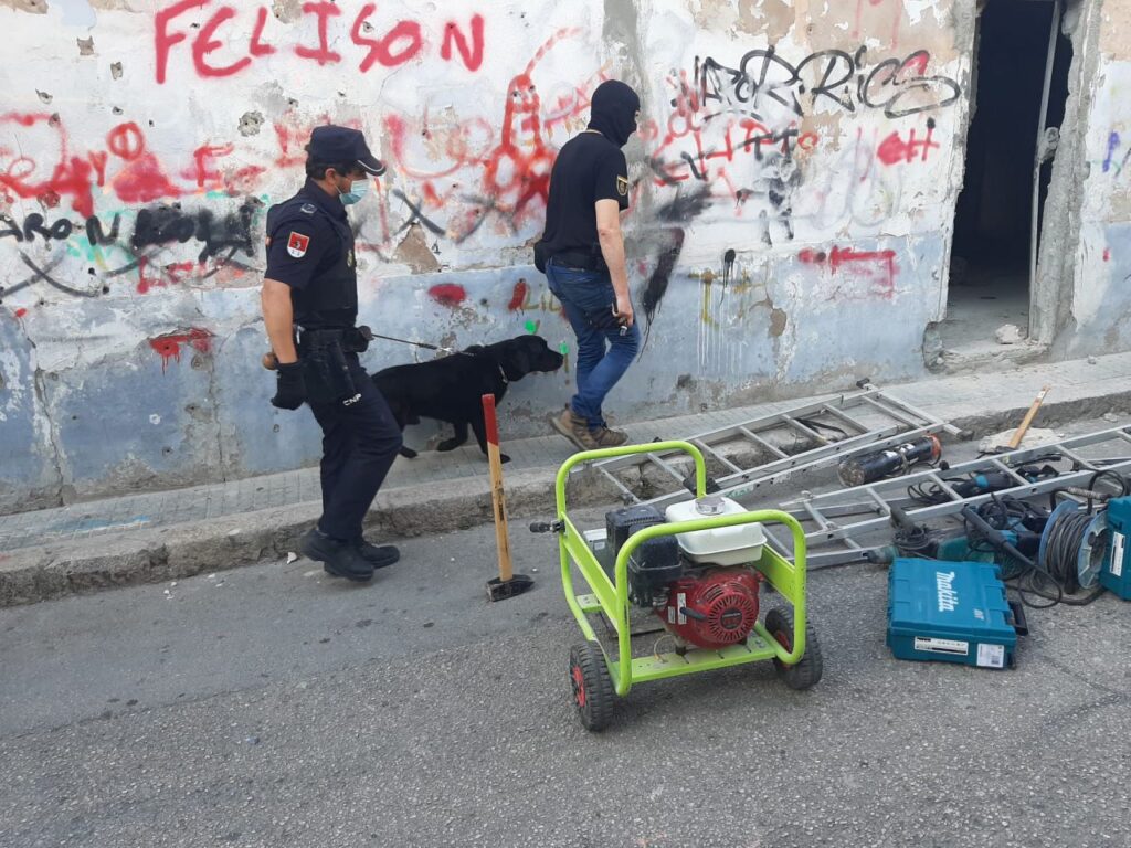 Imagen de galería 726