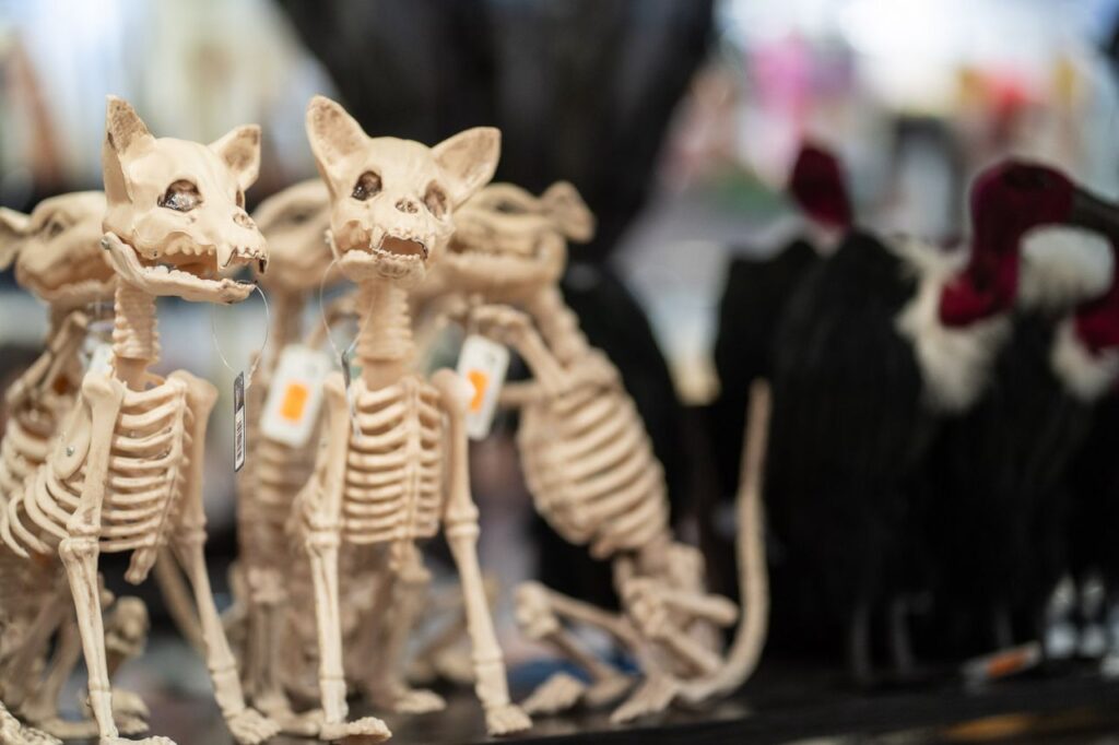 Imagen de galería 1544