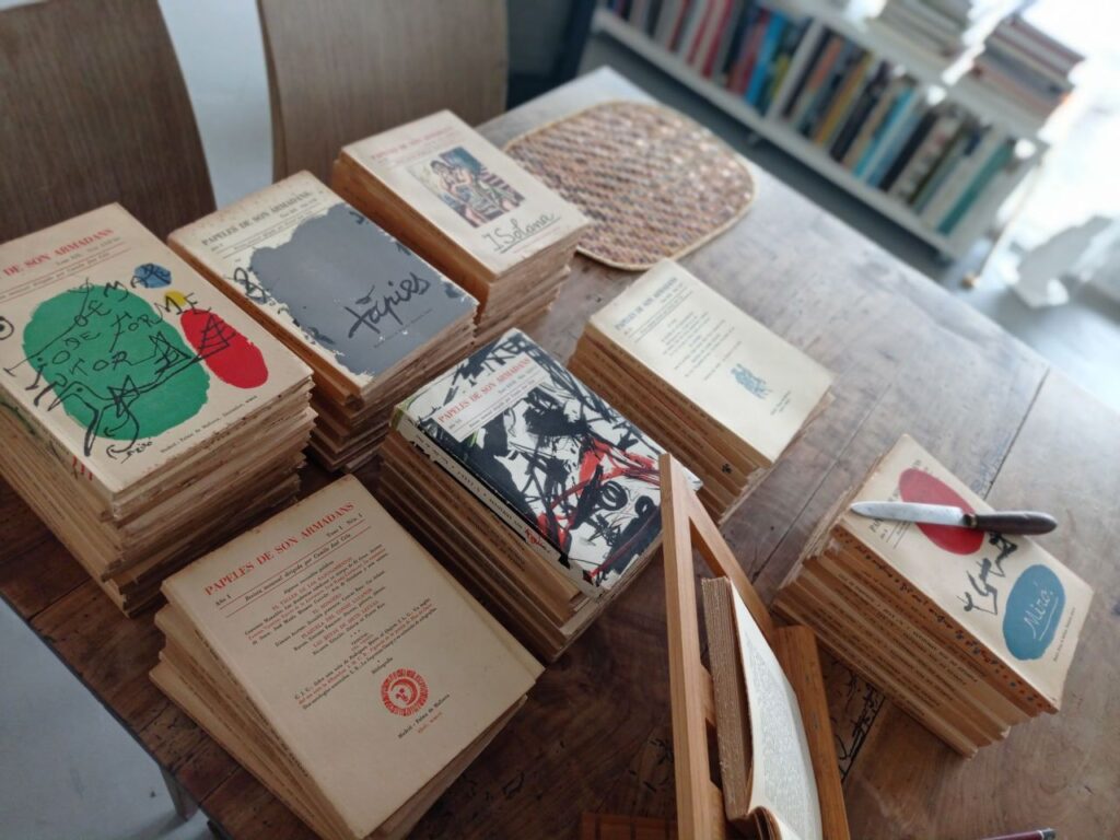 Imagen de galería 979