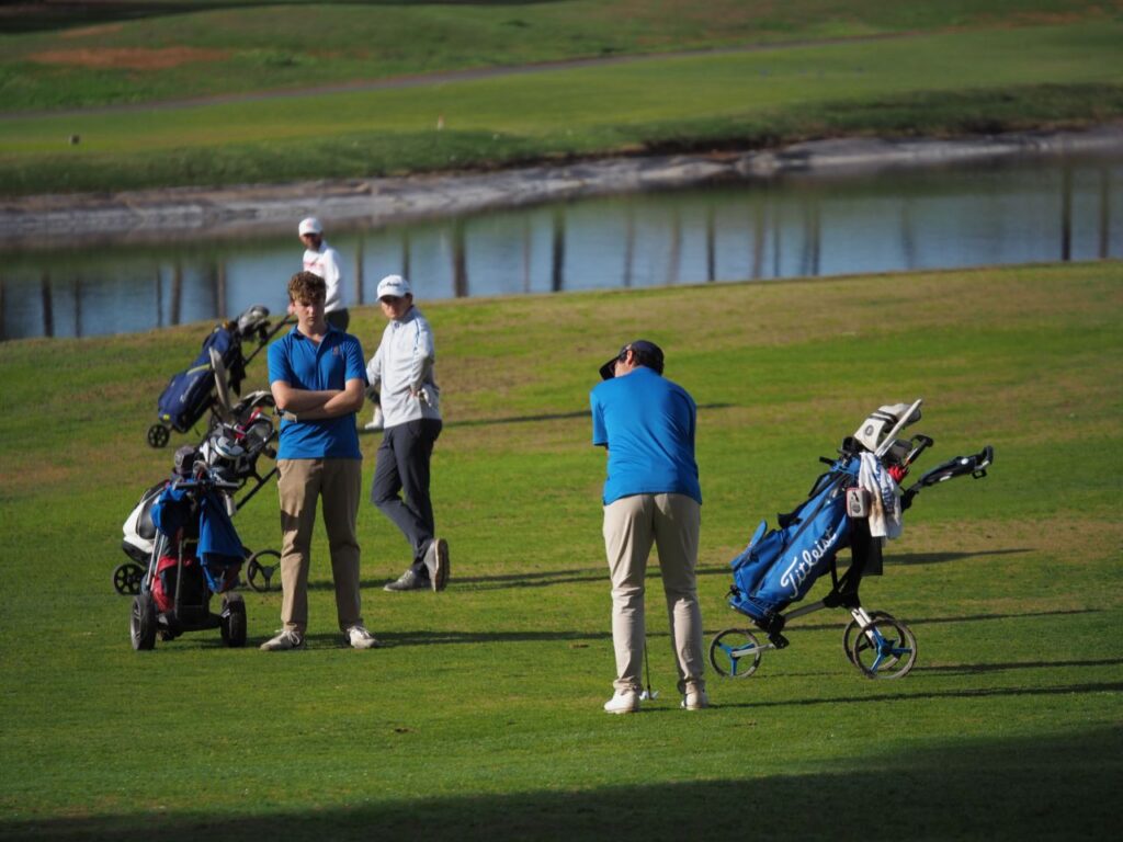 Imagen de galer&iacute;a 1216