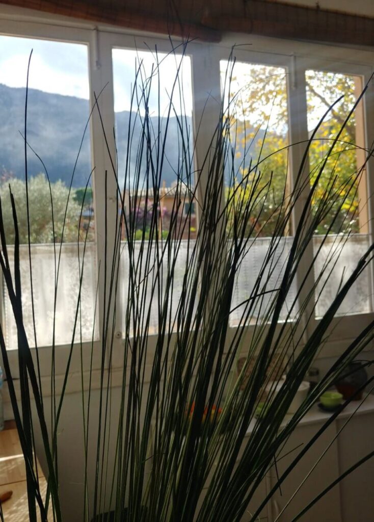 Imagen de galería 1244