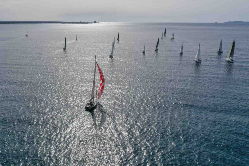 Imagen de galería 976