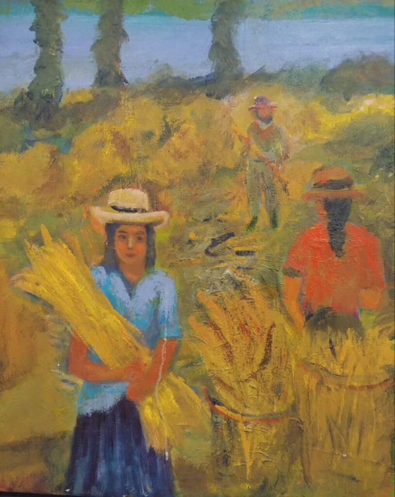 Imagen de galería 1065