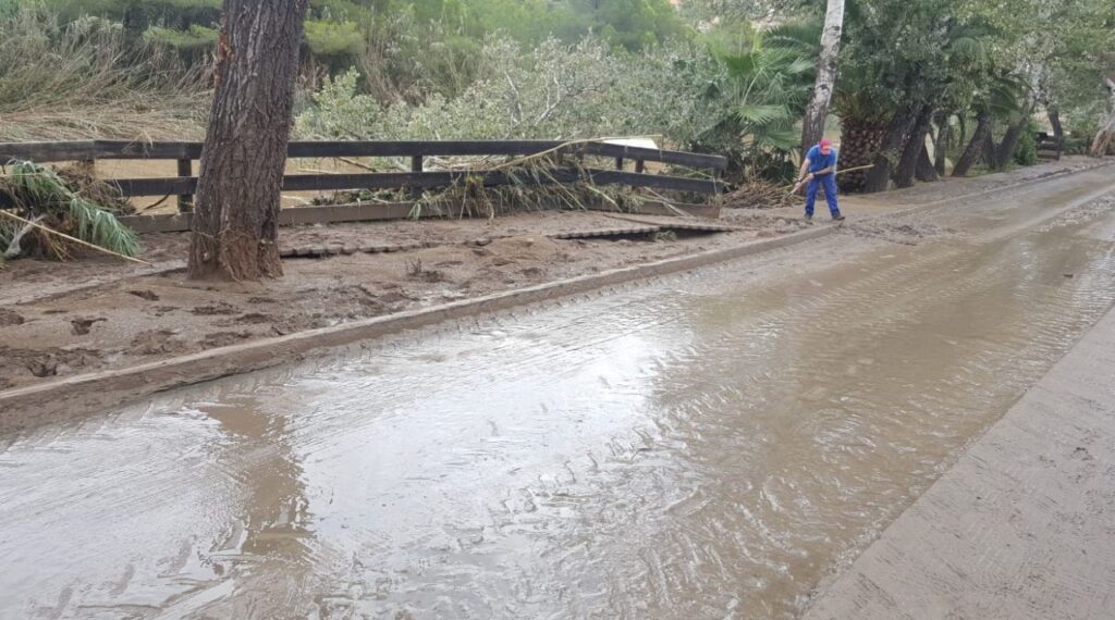 Imagen de galer&iacute;a 351