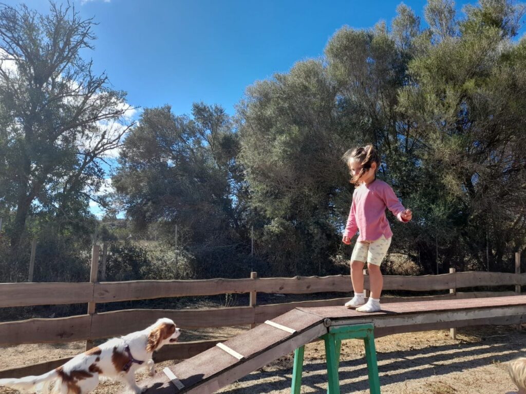 Imagen de galería 1389