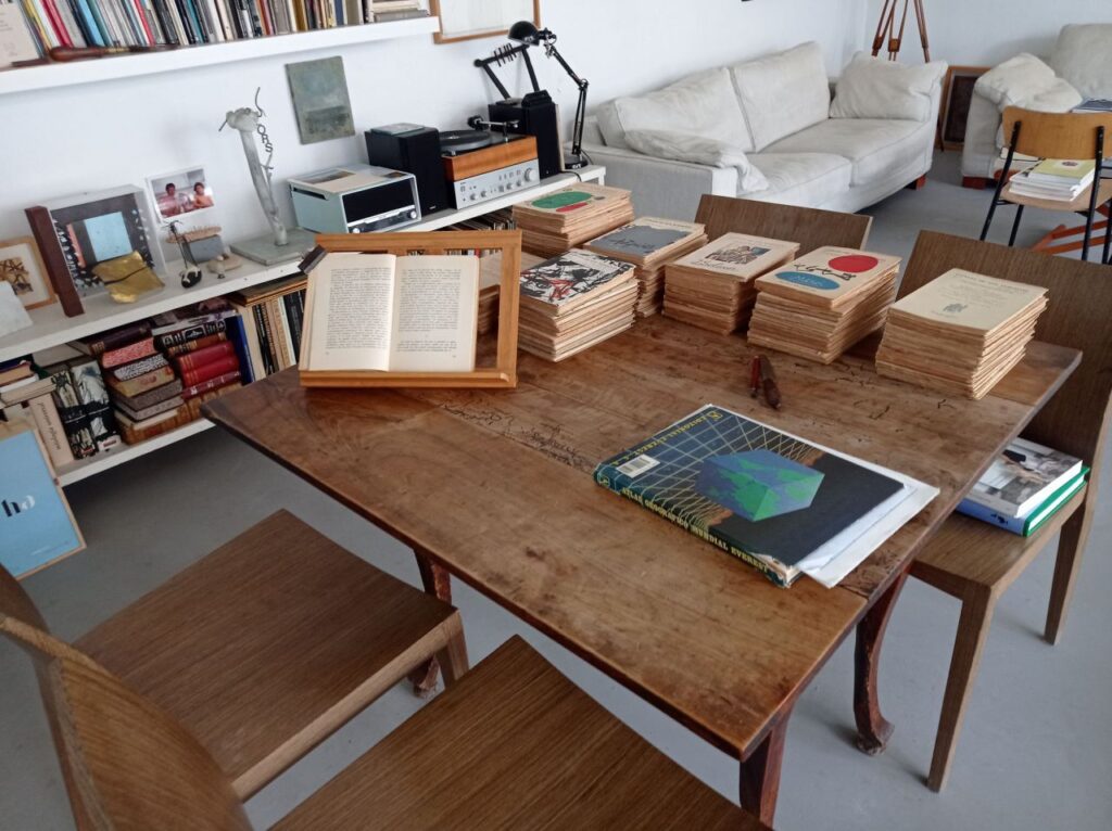 Imagen de galería 979