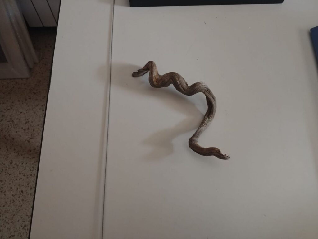 Imagen de galería 942