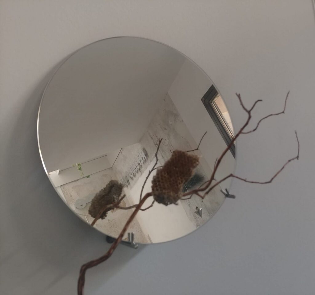 Imagen de galer&iacute;a 956