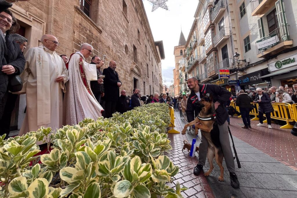 Imagen de galería 1625
