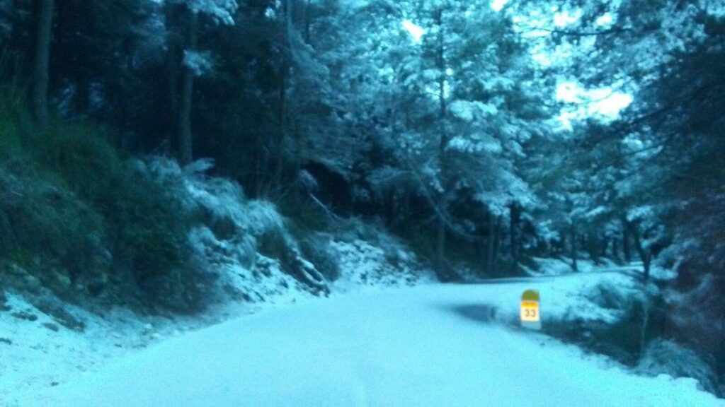 Imagen de galería 164