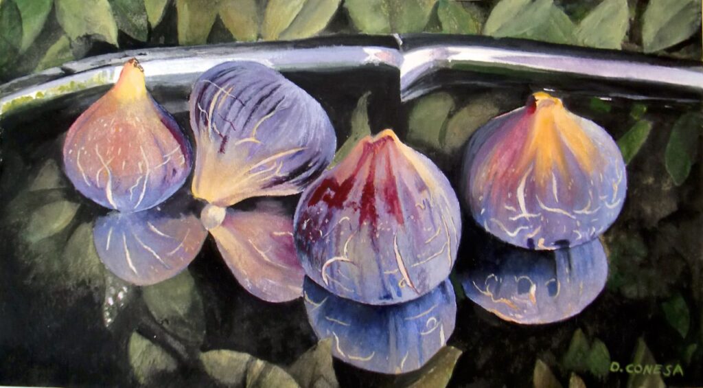 Imagen de galería 942