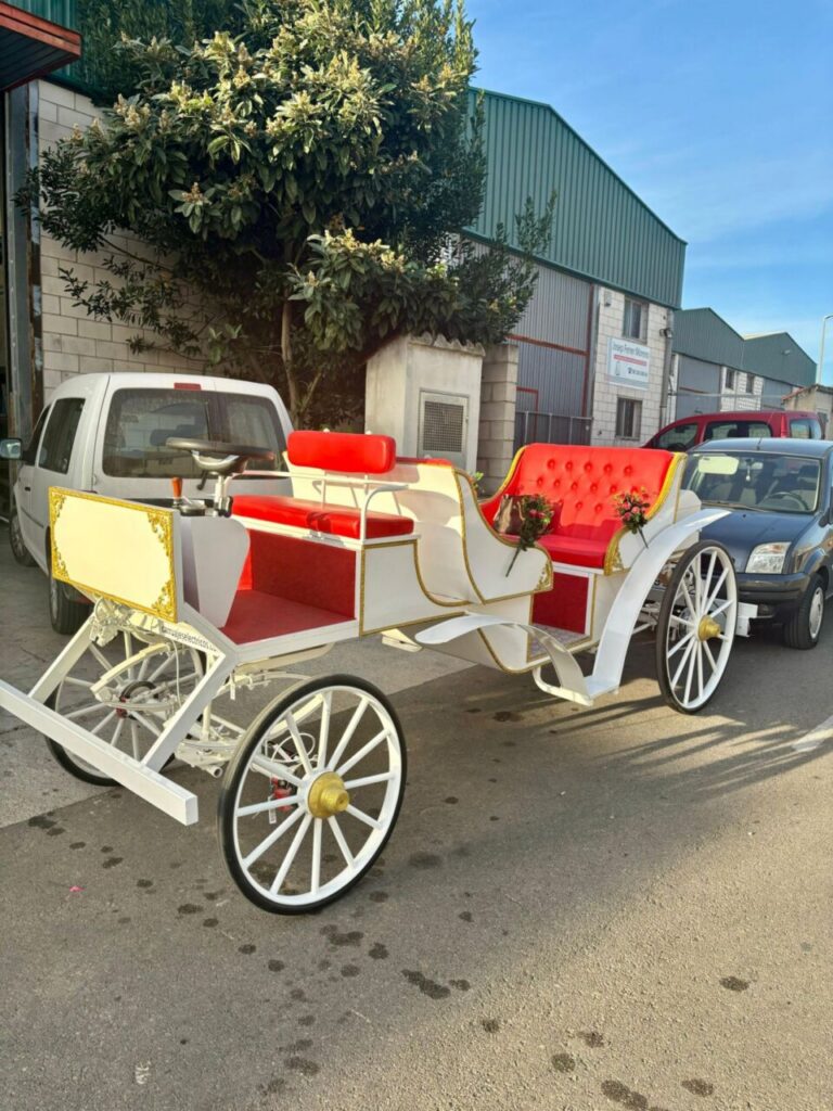 Imagen de galería 1593