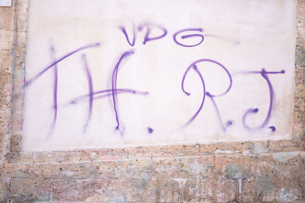 Imagen de galer&iacute;a 1614