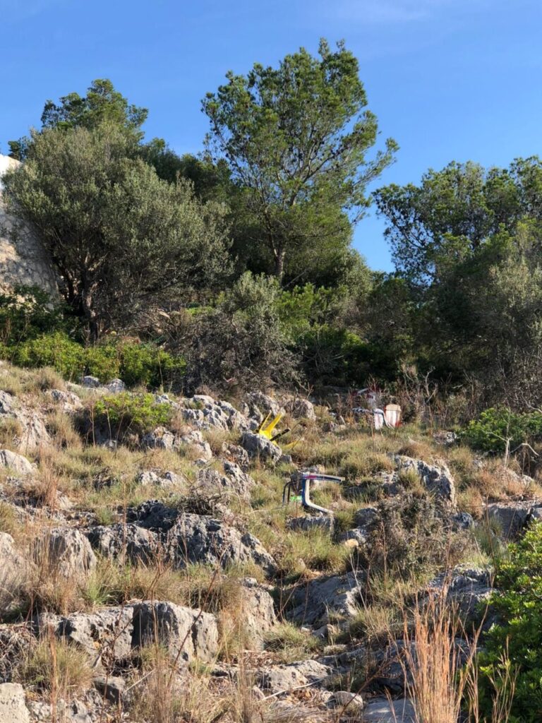 Imagen de galería 1318