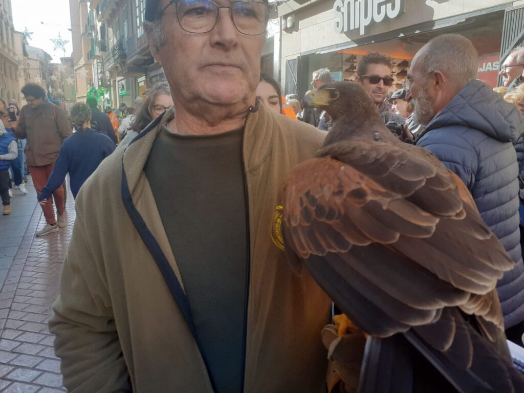 Imagen de galería 1253