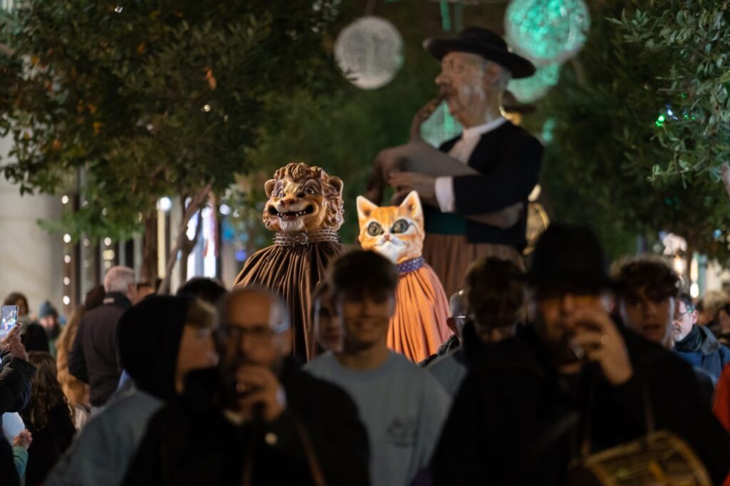 Imagen de galería 1258