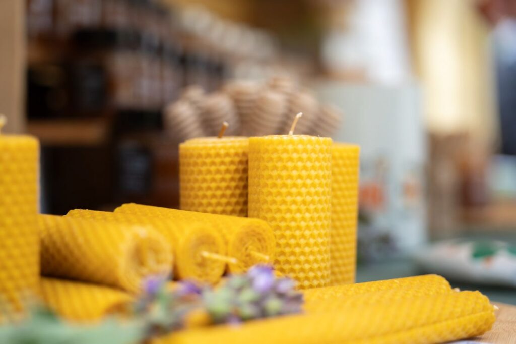 Imagen de galería 1970