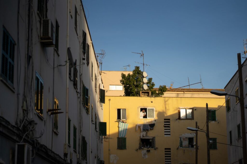 Imagen de galería 963