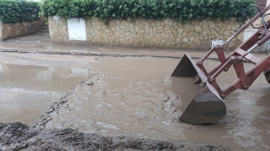 Imagen de galer&iacute;a 351