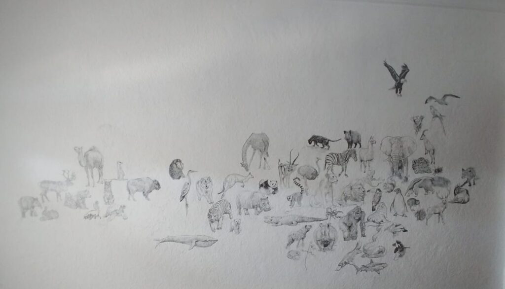 Imagen de galer&iacute;a 815