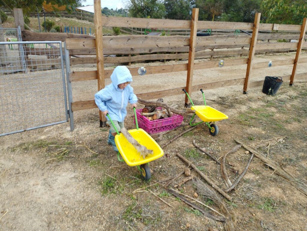 Imagen de galería 1389