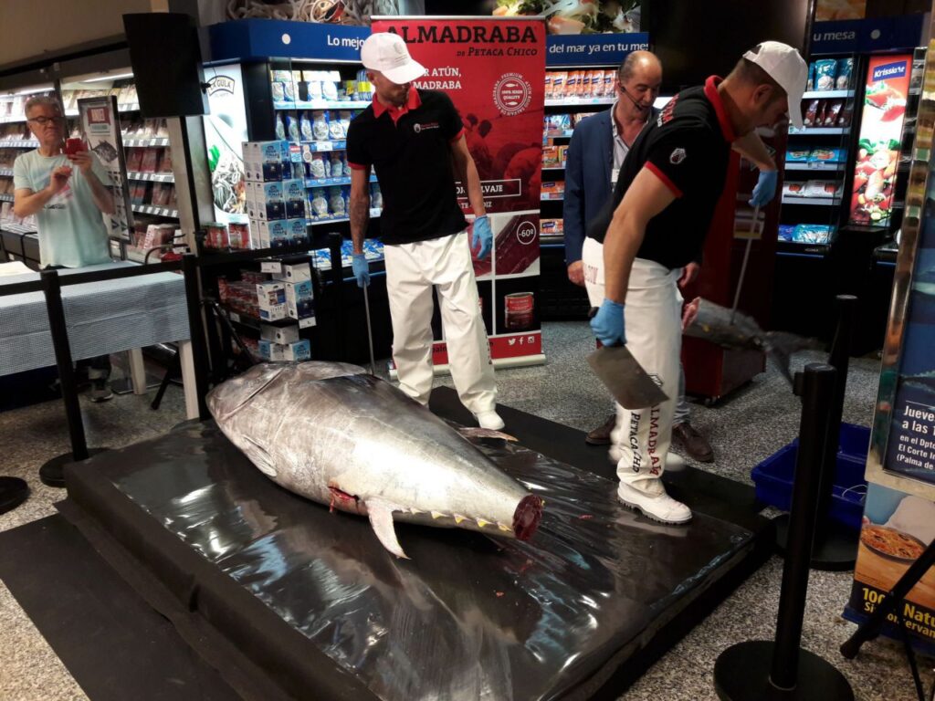 Imagen de galería 556