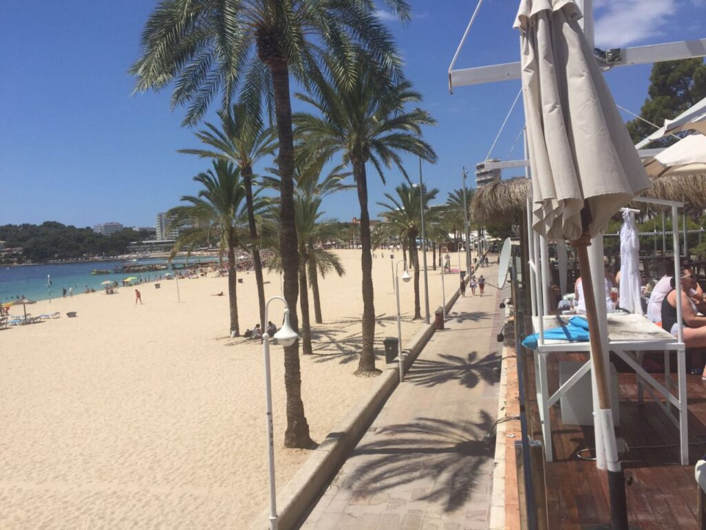 Imagen de galer&iacute;a 71