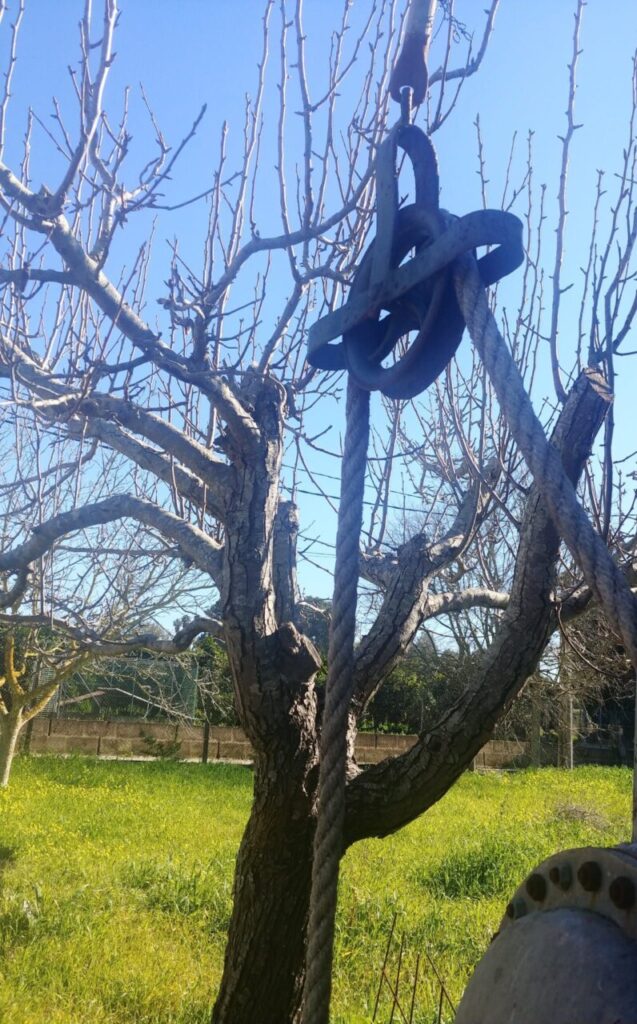 Imagen de galería 966