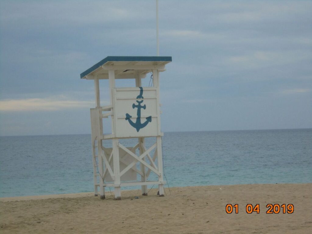 Imagen de galería 480