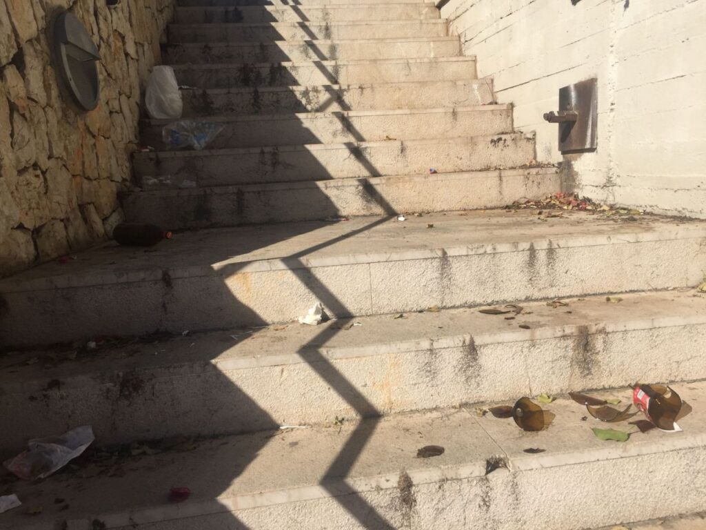 Imagen de galer&iacute;a 688