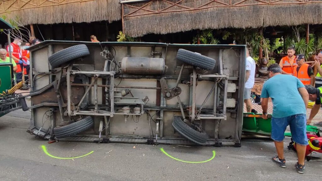 Imagen de galería 1093