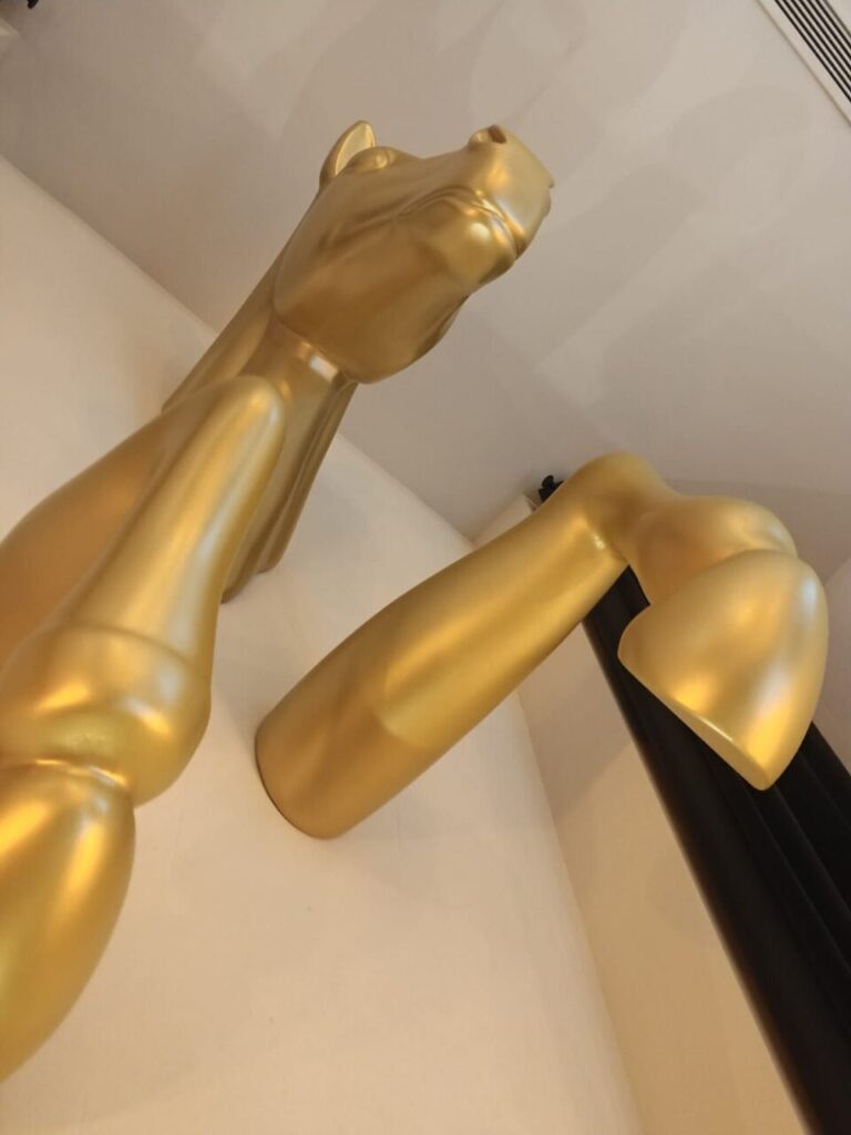 Imagen de galería 995