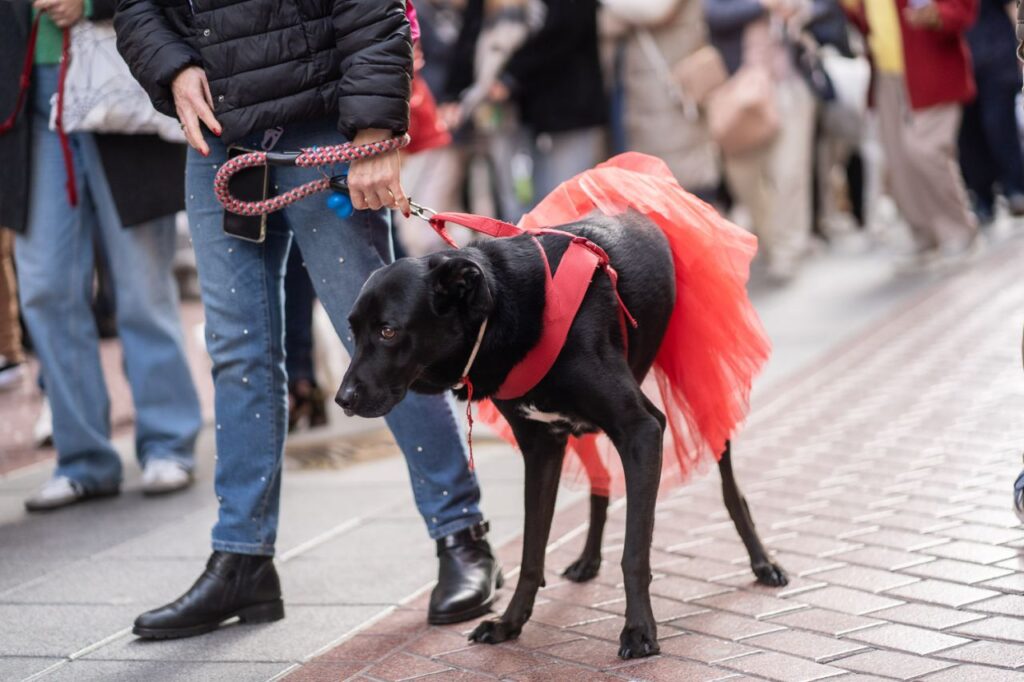 Imagen de galería 1625