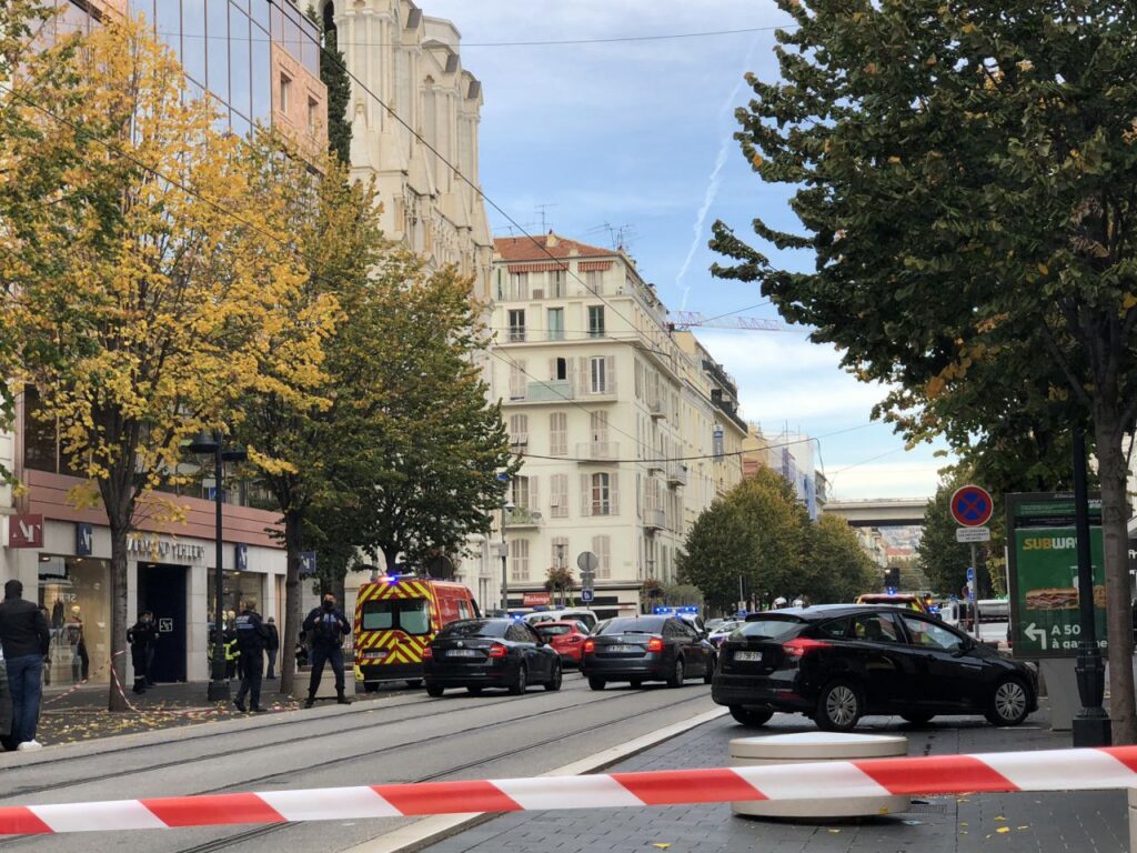 Imagen de galería 774