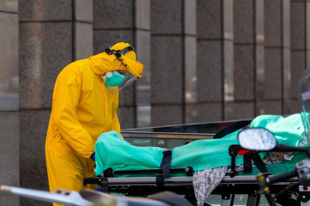 Imagen de galería 791