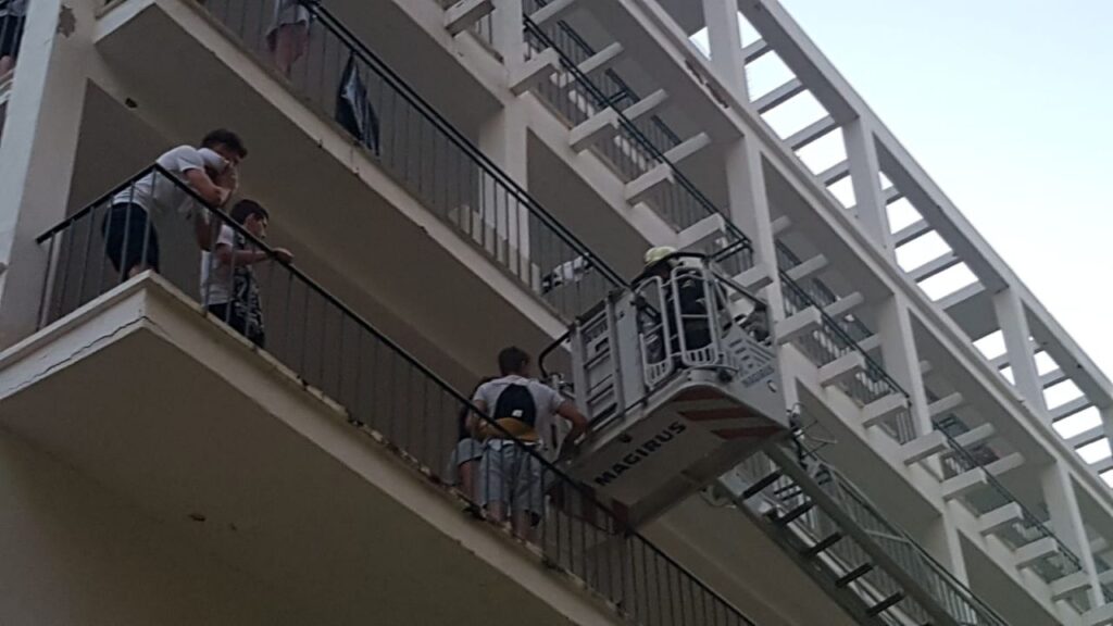 Imagen de galería 565