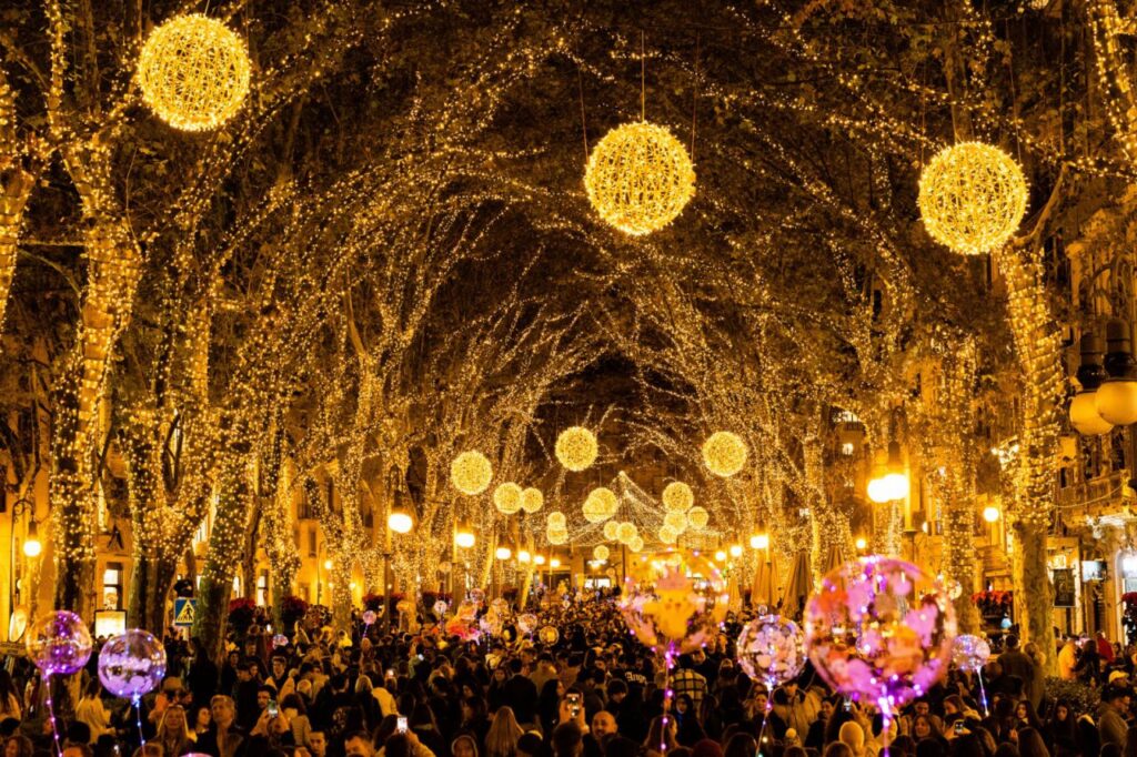 Imagen de galer&iacute;a 1197